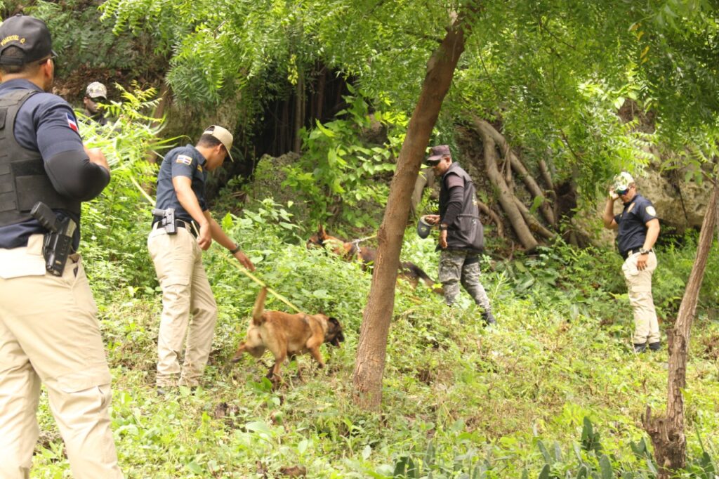 Investigaciones por desapariciones cuestan cerca de ¢4 millones al OIJ