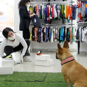 Nueva regulación limita ingreso de perros a locales con comida: conozca las reglas oficiales