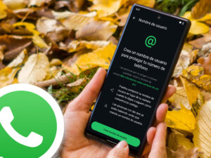 ¿Cómo crear un nombre de usuario en WhatsApp con la nueva actualización?