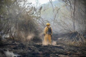 Tras seis días de combate, incendio en Palo Verde deja de expandirse