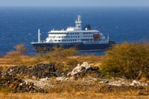OMS declara el fin del brote de hantavirus vinculado al crucero MV Hondius