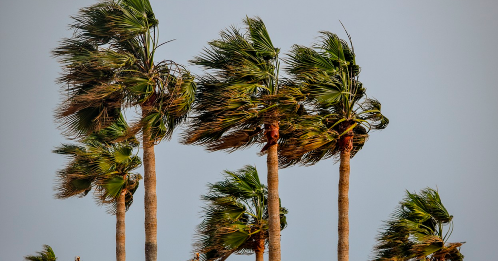 Vientos de hasta 85 km/h marcarán el clima este miércoles