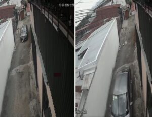 (VIDEO) Investigan muerte de perrita tras atropello en Alajuela