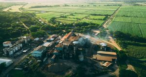 Hacienda estima deuda de ₡1.957 millones a Ingenio Taboga