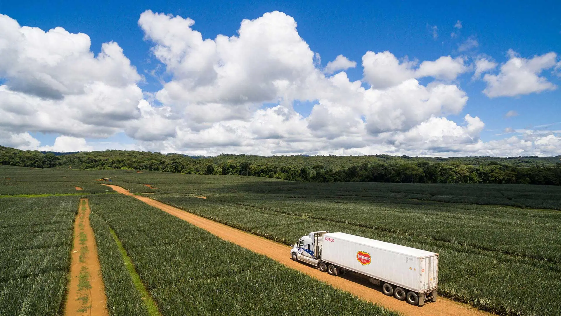Del Monte invierte $9 millones y genera 207 empleos en Puntarenas